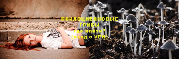 гидра Кодинск
